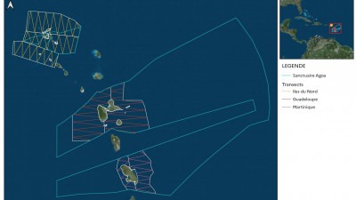 cartes_transects_2021.jpg
